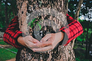 Seedling growing from fertile soil was gently encircled with hands