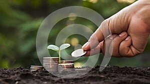 A seedling growing on a pile of coins and a hand that is giving coins to the tree, ideas for saving money.