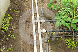 Seedling vegetable beds with drip irrigation system. Drip irrigation systems and heating greenhouses, plastic pipe for