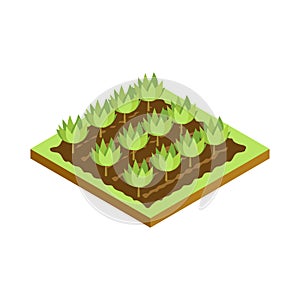 Seedlings on bed isometric 3D icon