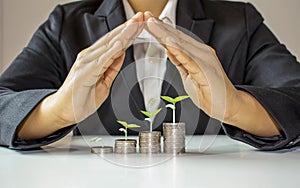 Seedlings that grow on coins or money, including the hands of businessmen who protect seedlings, the concept of financial growth.