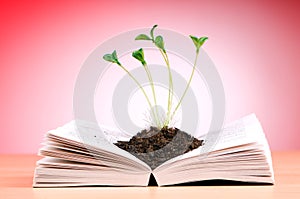 Seedlings growing from book - knowledge concept