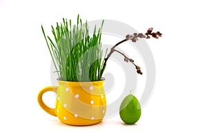 Seedlings growing from cup with willow branch