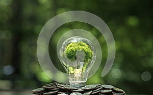 Seedlings and light bulbs on pile of silver coins, green business concept, finance and investment for sustainability.