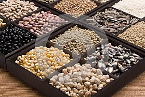 Variety of edible seeds photo