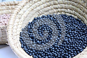 Seeds black soybeans