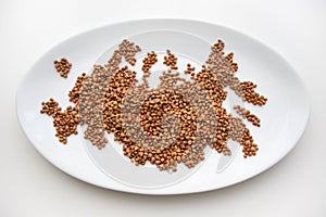 Seeds of buckwheat on the plate