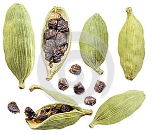 Seeds of cardamom spices isolated on a white background