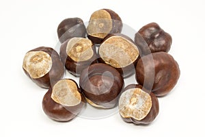 Seeds chestnut