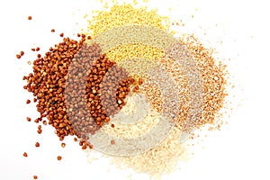 Seeds and grains