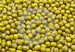 Seeds of green gram photo