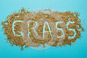 Seeds of lawn grass, scattered on a blue background in the form of the word