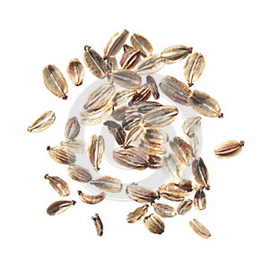 Seeds of Lovage or Levisticum officinale isolated on white background