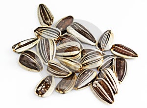 Seeds for Planting