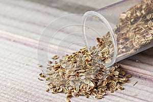 Seeds scattered from a jar on a gray board lie slide