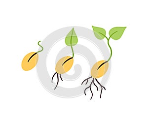 Seeds and seedlings. Germination of sprouts in doodle style. Hand drawn isolated vector illustration