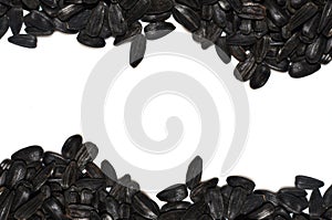 Seeds sunflower pile frame on white background. Free text fore your text