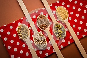 Seeds on wooden spoons which are lying at the red napkin - sesame, linseed, pumpkin and sunflower seeds, green lentils