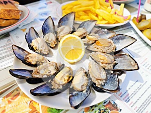 Seefood Ã°Å¸ËÂ