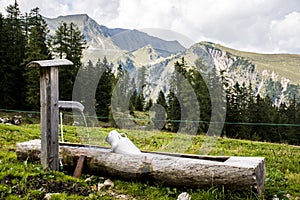 Seekaralm Achensee in Austria mountain idyll.