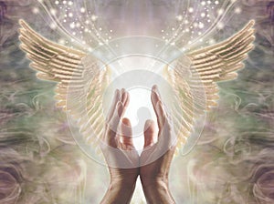 Seeking Angelic Guidance from Divine Realms