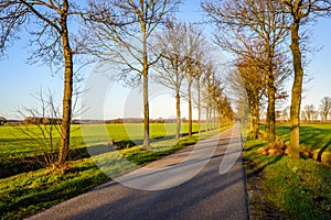 Seemingly endless country road in the Netherlands