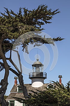 Point Pinos Lighthouse and Monterey Cypress - California photo