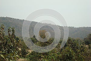 Seen of mountain and jungle trees