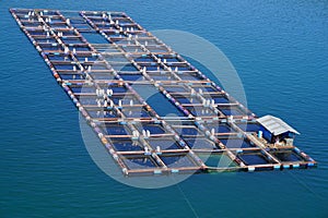 Seen from the top a group of floating net cages on Lake Toba. This cage is used for fish farming.