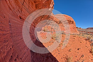 Seeping Spring at Ferry Swale near Page AZ