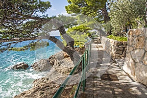 Seepromenade in Brela an der Makarska Riviera,Dalmatien,Adria,Kroatien