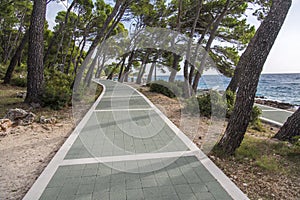 Seepromenade in Brela an der Makarska Riviera,Dalmatien,Adria,Kroatien