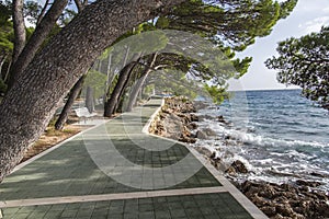 Seepromenade in Brela an der Makarska Riviera,Dalmatien,Adria,Kroatien