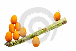 Seesaw Made From One Asparagus and Eight Kumquats