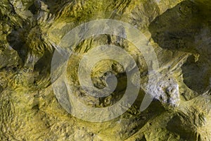 Seeweed and sea algae drying out in abstract patterns on the black basalt lava coast of Ponta do MistÃ©rio on ilha Terceira Island