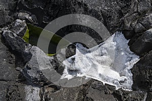 Seeweed and sea algae drying out in abstract patterns on the black basalt lava coast of Ponta do MistÃ©rio on ilha Terceira Island