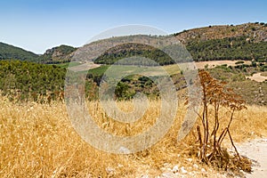 SEGESTA LANDSCAPE photo