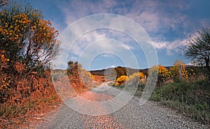 Seggiano, Grosseto, Tuscany, Italy: landscape of the Monte Amiata