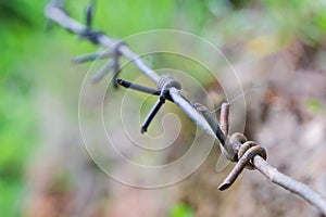 Segment of stretched old barbed wire closeup on blurred background