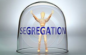 Segregation can separate a person from the world and lock in an isolation that limits - pictured as a human figure locked inside a