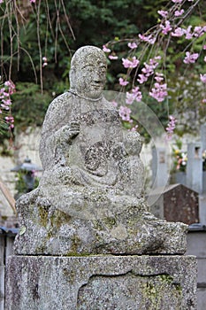 Seiko-in temple - Matsue - Japan