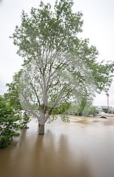 Seine river overflows in Paris photo