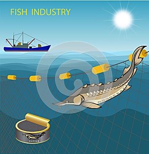 seiner performs industrial fishing