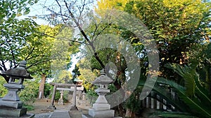 Seiryu Shrine and Kenashi Pond Seiryu Shrine, a shrine in Takasago, Katsushika-ku, Tokyo, Japan.