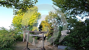 Seiryu Shrine and Kenashi Pond Seiryu Shrine, a shrine in Takasago, Katsushika-ku, Tokyo, Japan.