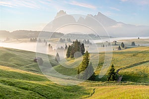 Seiser Alm (Alpe di Siusi) with Langkofel mountain at sunrise, Italy