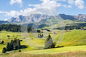 Seiser Alm (Alpe di Siusi), South Tyrol, Italy