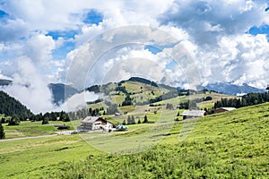 Seiser Alm (Alpe di Siusi), South Tyrol, Italy