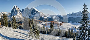 Seiser Alm, Dolomites meadow in winter photo