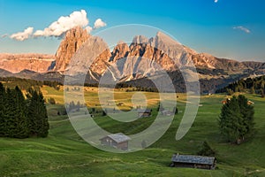 Seiser Alm with Langkofel Group in afternoon light, South Tyrol,